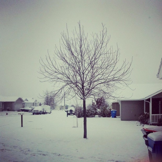 Snow on Valencia